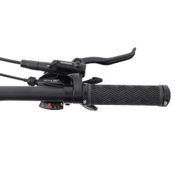 Vélo WELT Ranger 1.0