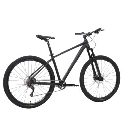 Vélo WELT Ranger 1.0
