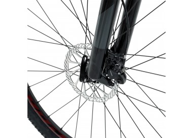 Vélo WELT Ranger 3.0 Vélo WELT Ranger 3.0
