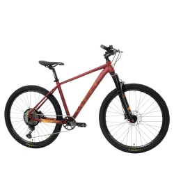 Vélo WELT Ranger 4.0