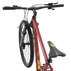 Vélo WELT Ranger 4.0